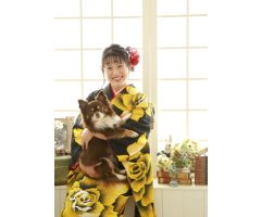 振袖＆卒業袴専門店 エイル相模原店  さがみはら産業あるある情報